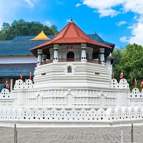 Aerial view of surfers near Hikkaduwa beach. Hikkaduwa, Sri Lanka.