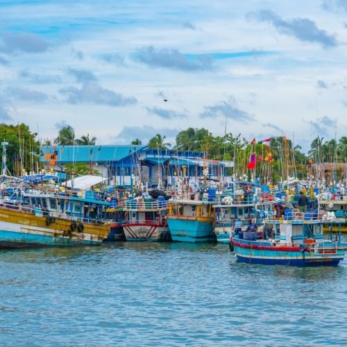 Aerial view of surfers near Hikkaduwa beach. Hikkaduwa, Sri Lanka.