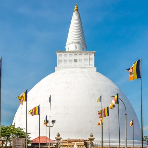 Aerial view of surfers near Hikkaduwa beach. Hikkaduwa, Sri Lanka.
