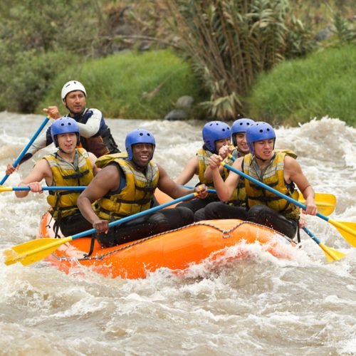 Preparation of traditional Sri Lankan curry dish with tender chicken breast at cooking class