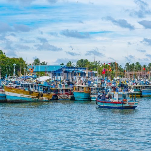 Negombo,,Sri,Lanka,,February,13,,2022:,Fishing,Boats,Mooring,At