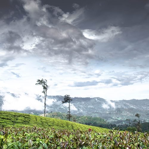 bandarawela