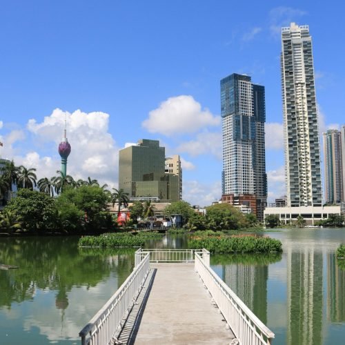 pexels-chamikara-28296987